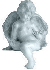 �e�B�i�R���N�V�I���@���E�@�t�F�C�V�������t���N�\���W�[